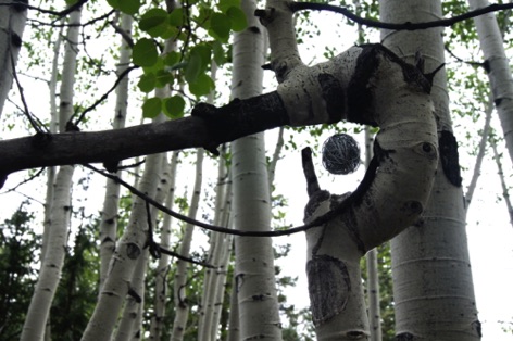 20110912_north rim_solo_jg_jg_0016.JPG 20110912_north rim_solo_jg_jg_0016.JPG